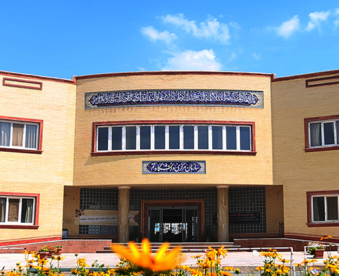 هسته گزینش